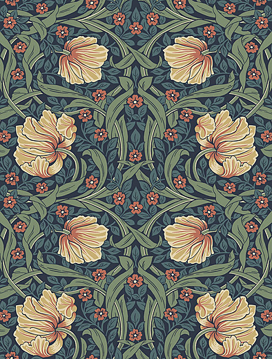 Рисунок Pimpernel («Первоцвет») 1876 года