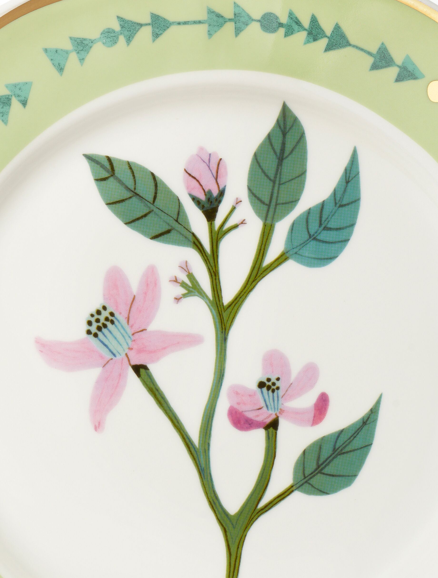 Обеденная тарелка Botanica, 26,5 см