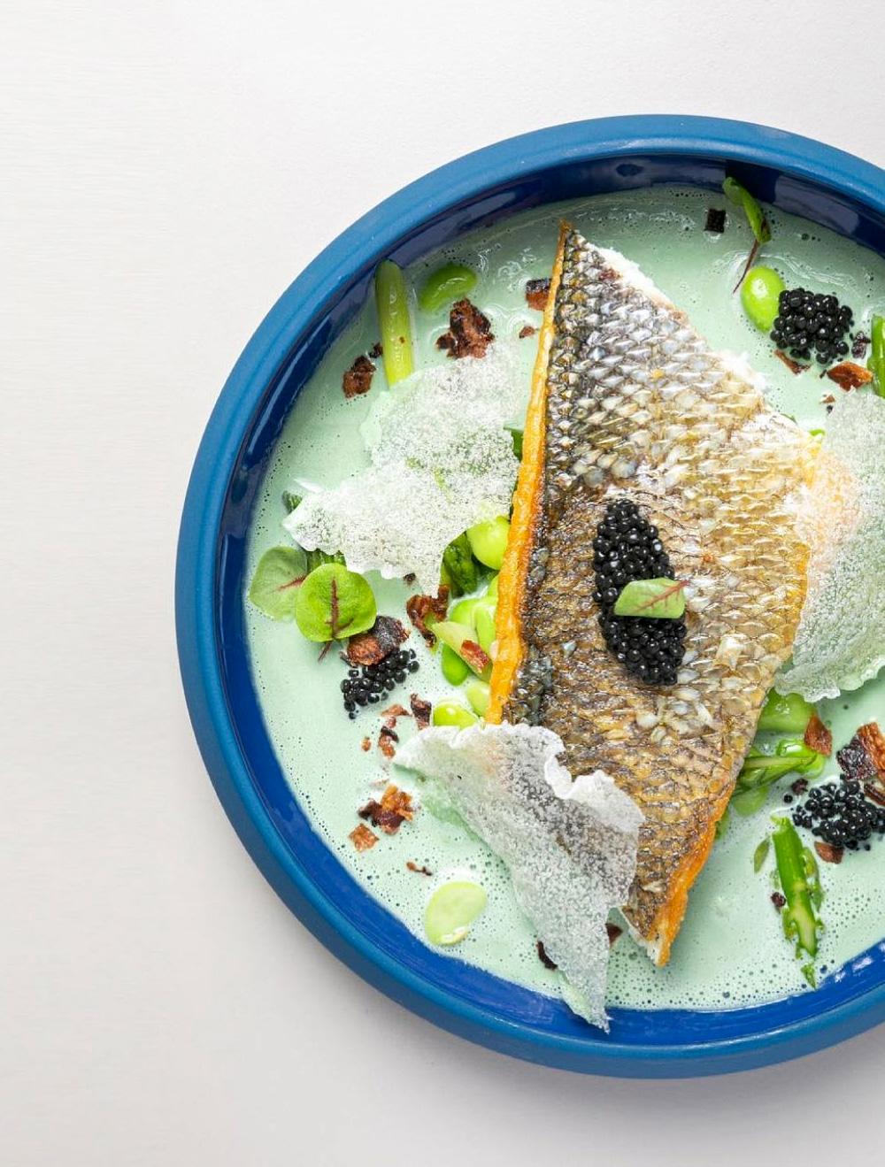 Пиала Gourmet Blue, 16 см от Degrenne
