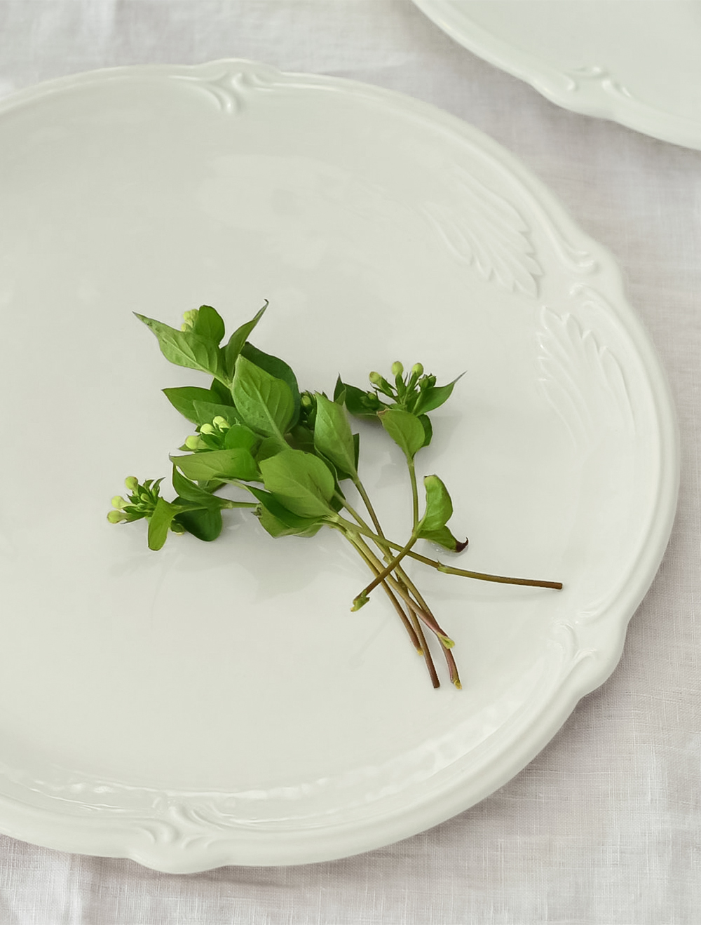 Плоское блюдо Rocaille Blanc, 32 см от Gien