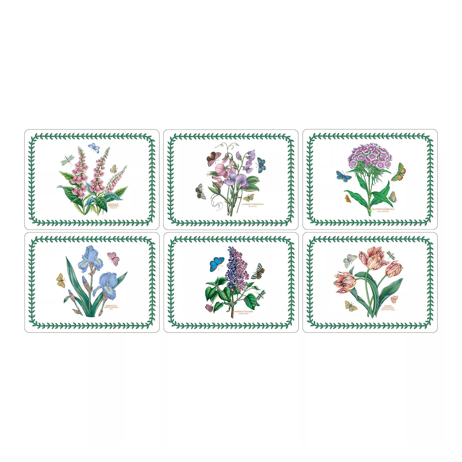 Набор из 6 плейсматов Botanic Garden, 23х30 см