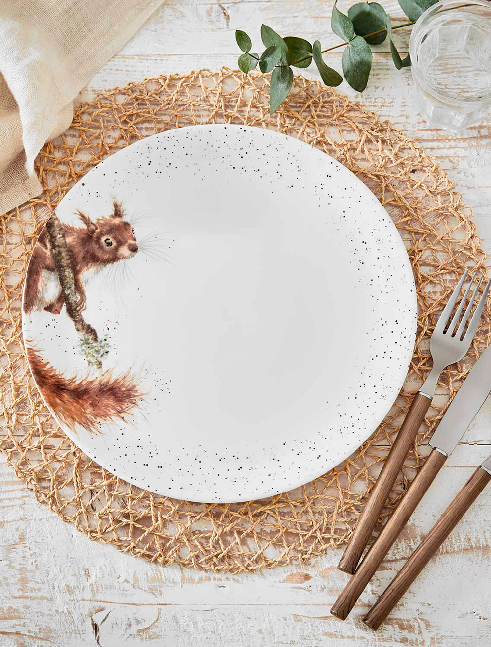 Набор из 4 обеденных тарелок Wrendale Designs, 27 см