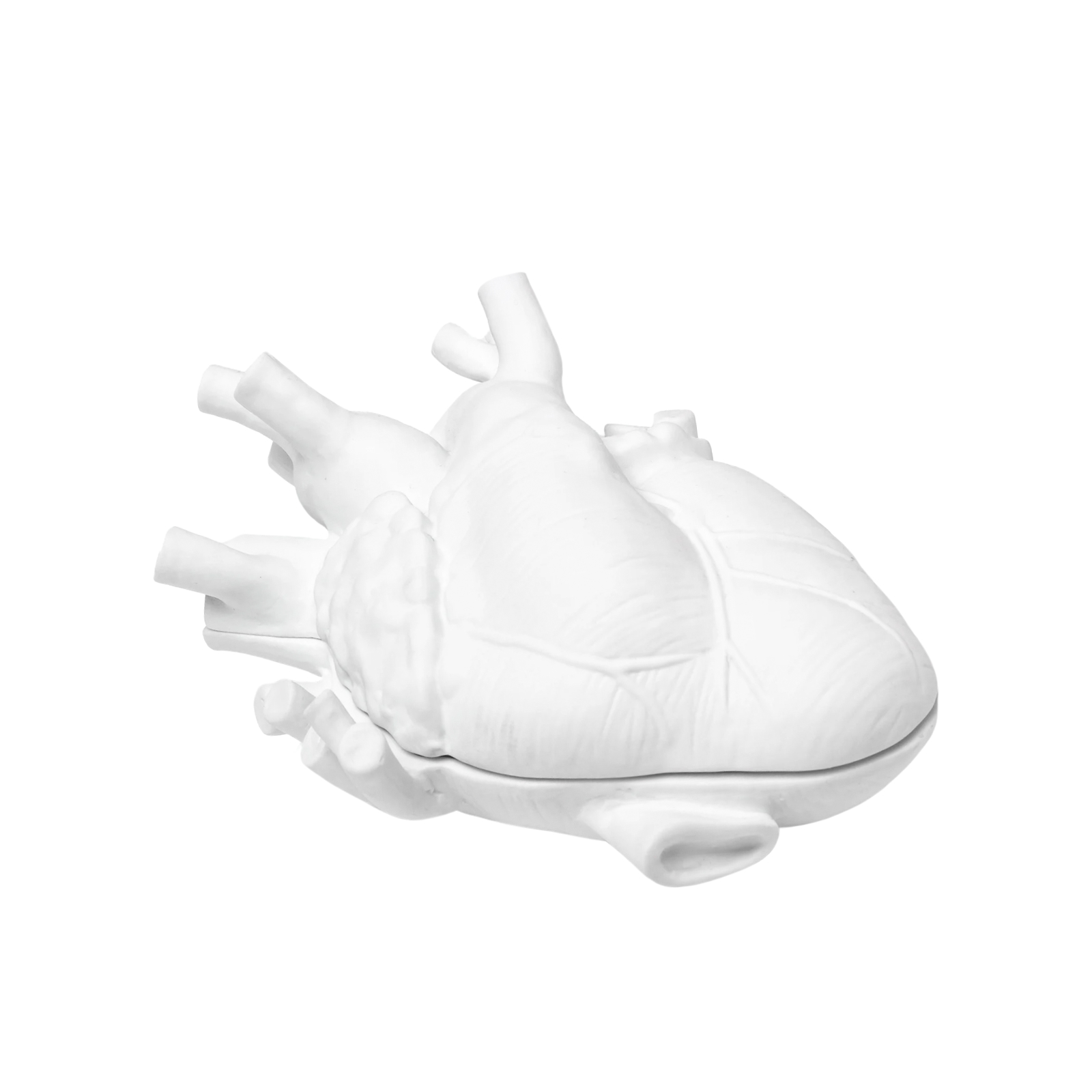 Шкатулка Love In Bloom, 13,5x19 см от Seletti